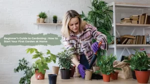 Read more about the article Beginner’s Guide to Gardening : How to Start Your First Garden at Home