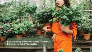 Fast-Growing Plants for Home Gardens: Flowers, Herbs & Vegetables Garden Idea Pro