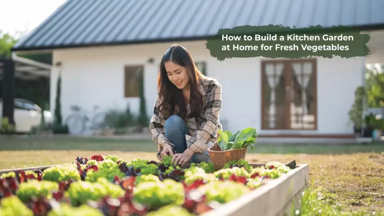 How to Build a Kitchen Garden at Home for Fresh Vegetables Garden Idea Pro