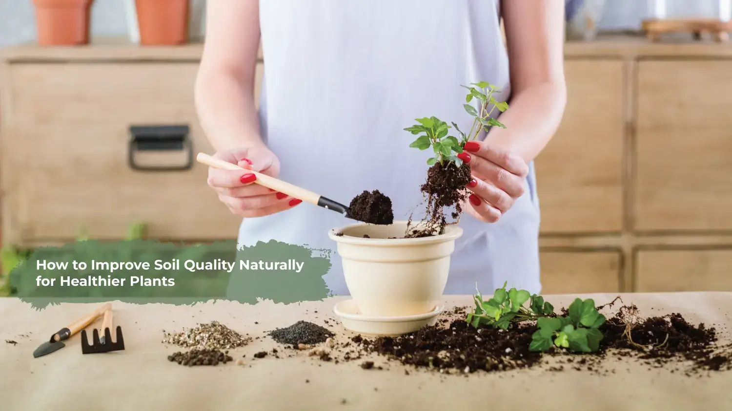 You are currently viewing How to Improve Soil Quality Naturally for Healthier Plants
