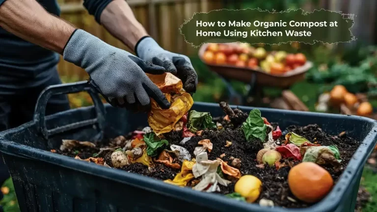 How to Make Organic Compost at Home Using Kitchen Waste Garden Idea Pro