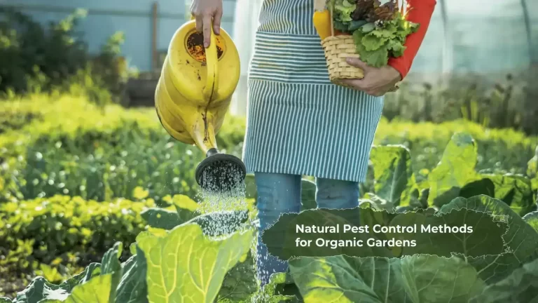 Natural Pest Control Methods for Organic Gardens Garden Idea Pro