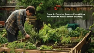 Organic Farming Basics: Everything You Need to Know Before Starting Garden Idea Pro