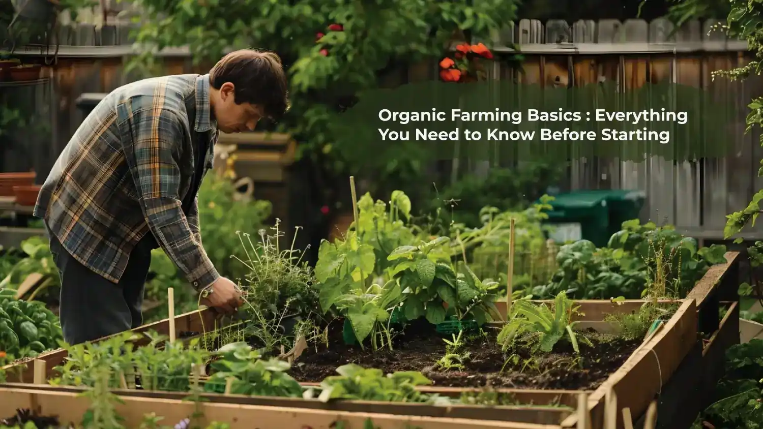 You are currently viewing Organic Farming Basics : Everything You Need to Know Before Starting