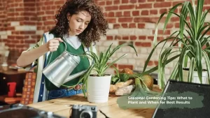 Read more about the article Seasonal Gardening Tips : What to Plant and When for Best Results