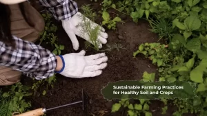Sustainable Farming Practices for Healthy Soil and Crops Garden Idea Pro